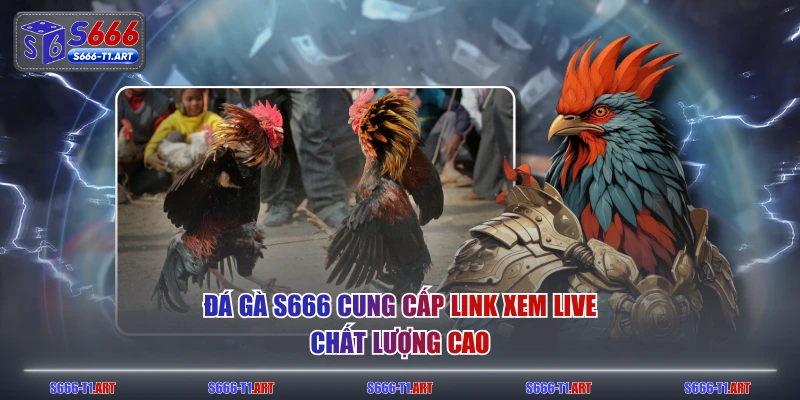 Đá gà S666 cung cấp link xem live chất lượng cao
