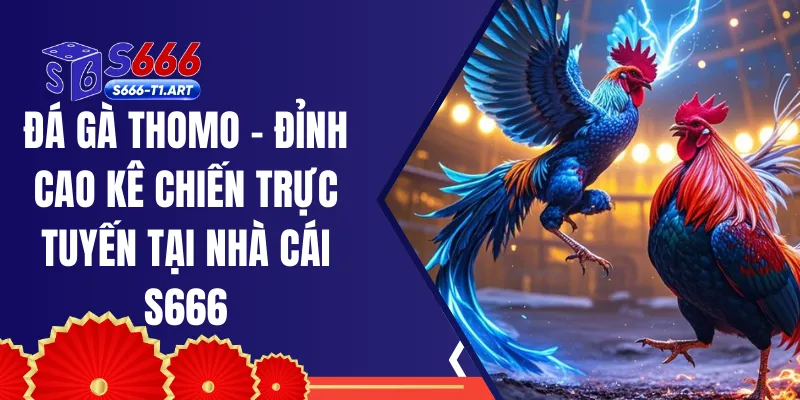 Đá Gà Thomo - Đỉnh Cao Kê Chiến Trực Tuyến Tại Nhà Cái S666
