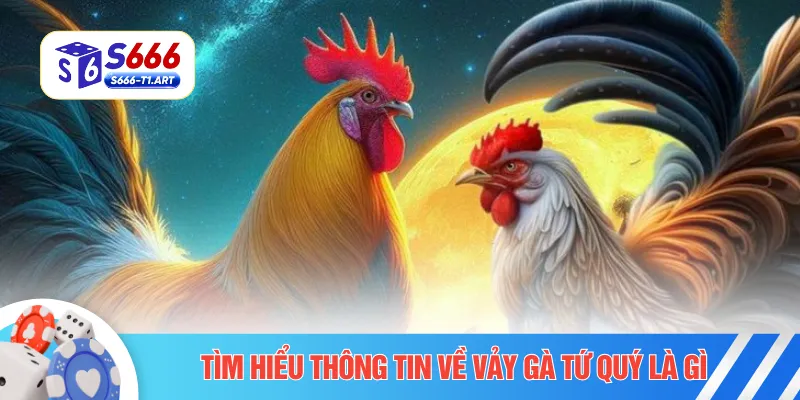Tìm hiểu thông tin về vảy gà tứ quý là gì